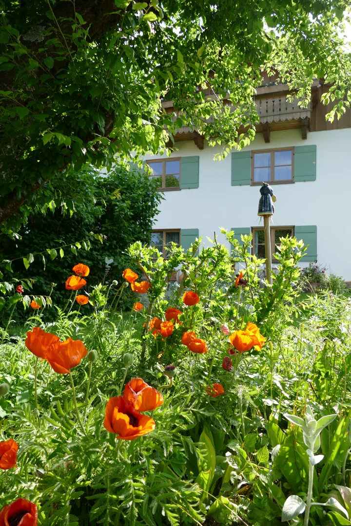 Garten Fewo Goller